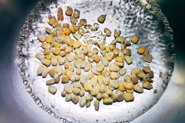 香煎芝香玉米饼的做法图解3