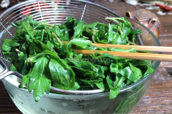 马兰头拌豆腐的做法图解7