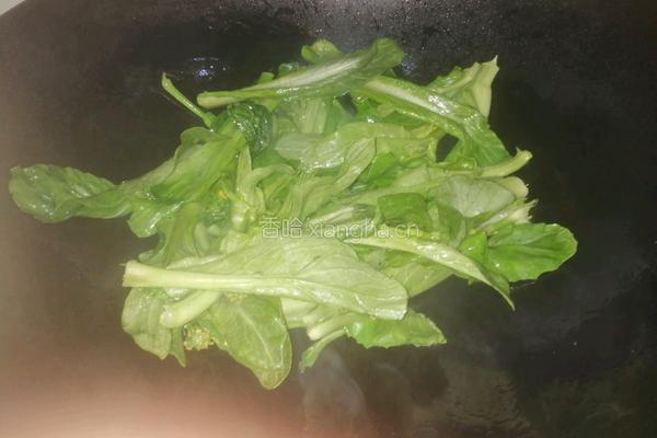 牛肉蔬菜炒通心粉的做法图解6