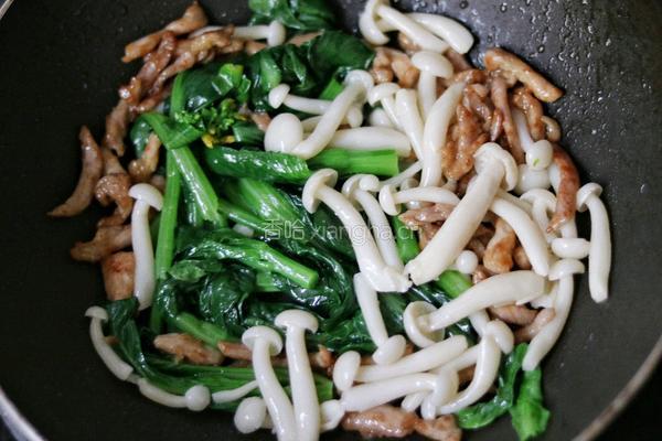 白玉菇炒肉的做法图解6