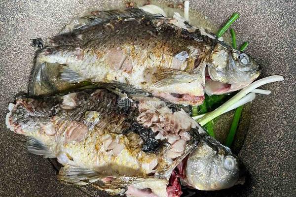 毛豆烧鲫鱼的做法图解8