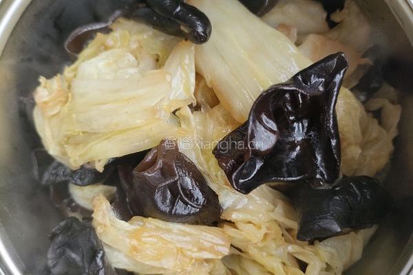醋溜白菜木耳