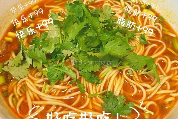 红烧牛肉的做法图解10