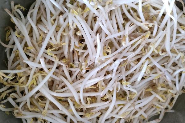 豆芽炒干豆腐的做法图解2