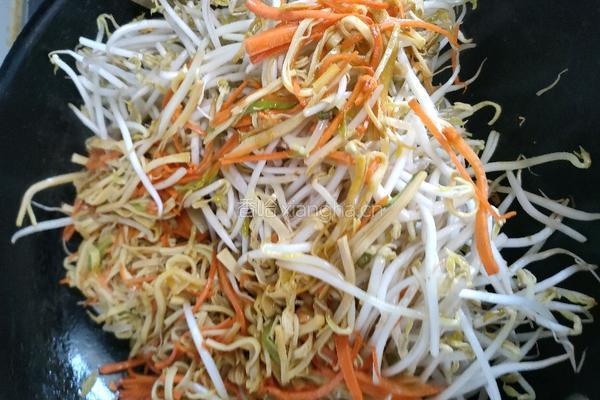 豆芽炒干豆腐的做法图解6