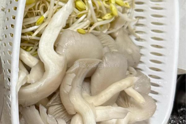 麻辣酸菜鱼的做法图解3