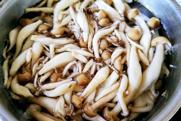 蟹味菇炒辣椒的做法图解2