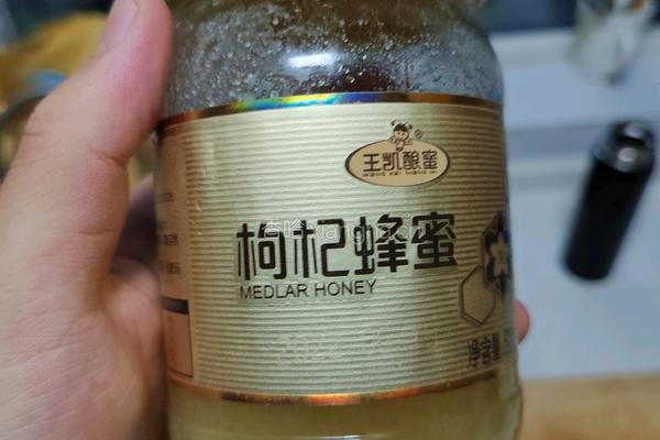 奥尔良烤鸡翅的做法图解2
