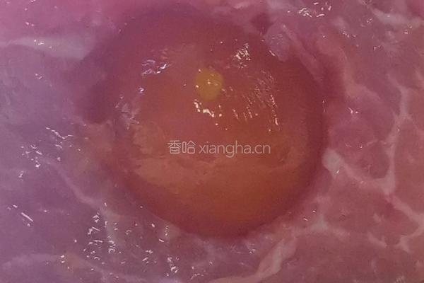 蜜汁蛋黄叉烧的做法图解3