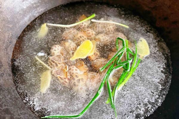 白灼花螺的做法图解3