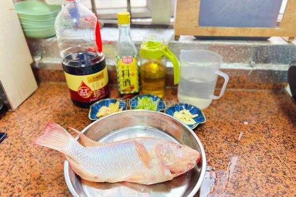 清蒸红石斑鱼的做法图解1