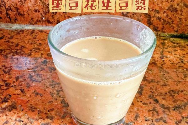 增强免疫—黑豆花生豆浆
