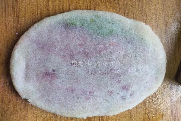 椰蓉蔓越莓螺旋酥(纯手工)的做法图解8