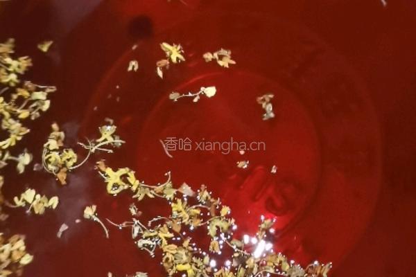夏天特该喝的酸梅汤