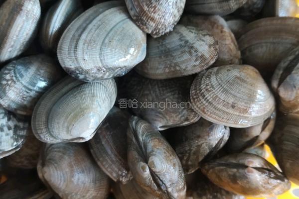 蒜蓉金针菇花甲的做法图解1