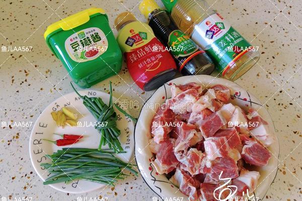 酱焖牛肉的做法图解1