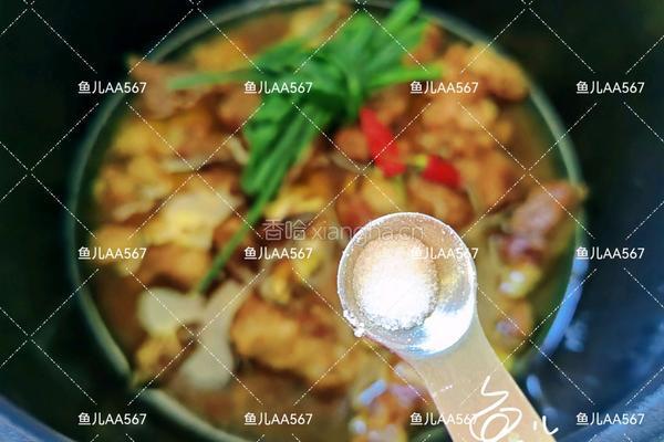 酱焖牛肉的做法图解9