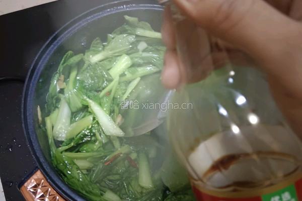 辣炒小青菜的做法图解9