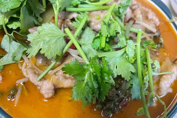 水煮肉片的做法图解8