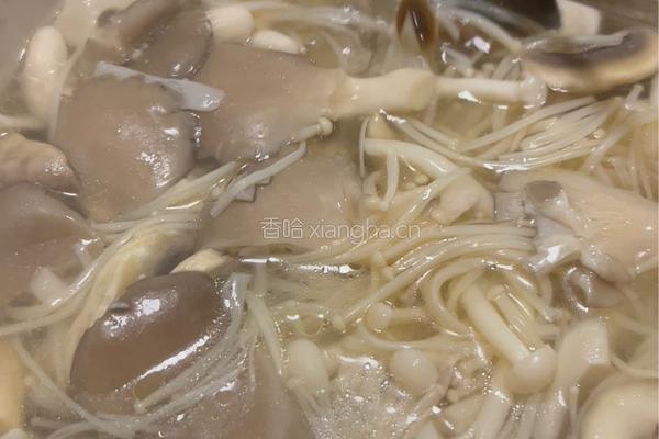 杂菇煲的做法图解6
