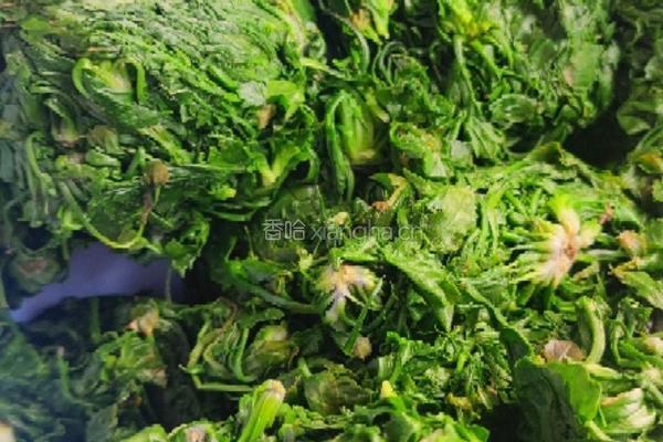 荠菜春卷的做法图解1