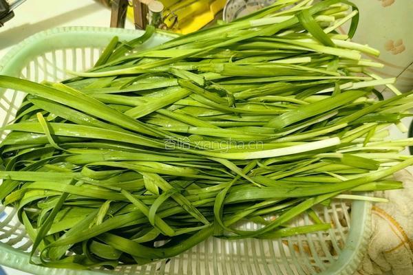 韭菜鸡蛋烫面包子的做法图解1