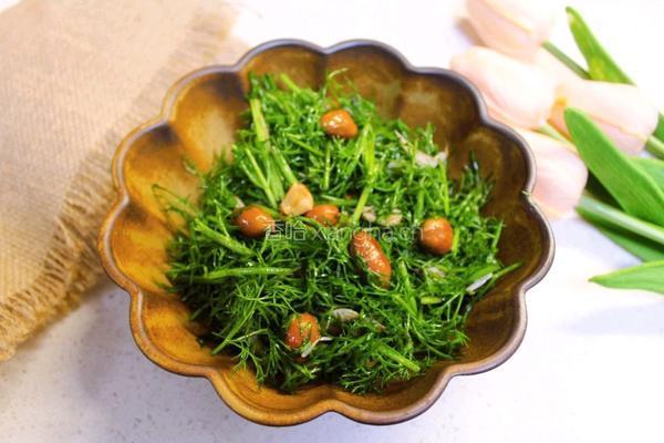 凉拌茴香的做法图解4