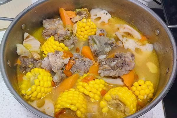 莲藕玉米炖排骨的做法图解5