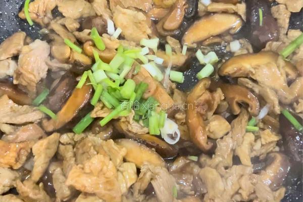 香菇炒猪肉的做法图解8
