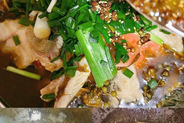 酸汤乌鱼片的做法图解11