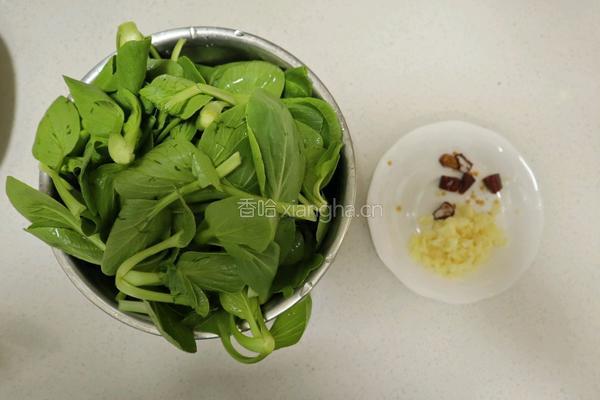 蒜蓉鸡毛菜 快手低脂小青菜补钙小白菜的做法图解1