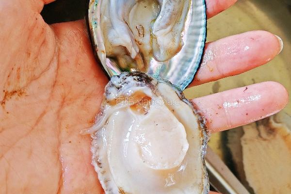 鲍鱼捞饭的做法图解2