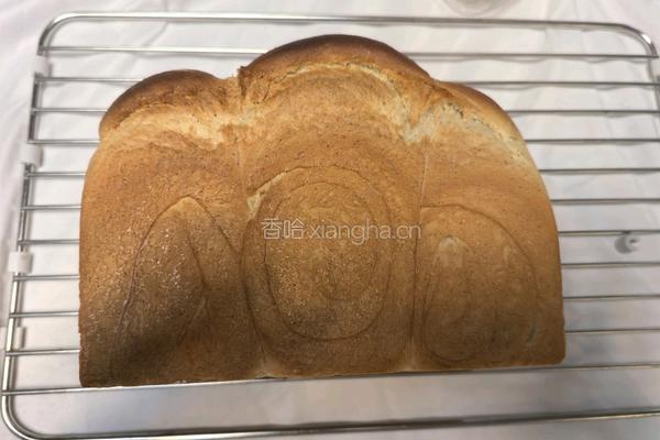 全麦吐司的做法图解13