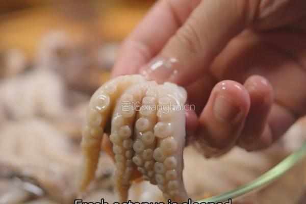 黑松露酱土豆烩章鱼的做法图解1