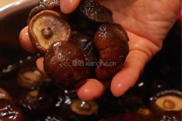 救命！这道香菇嫩滑鸡直接把我香迷糊了！！的做法图解2