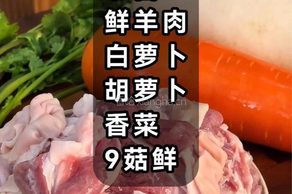 春日限定暖鲜！清炖萝卜羊肉汤唤醒味蕾的做法图解1