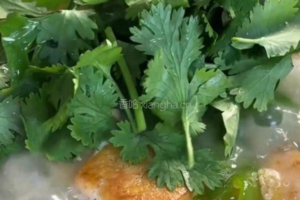 黄骨鱼豆腐汤的做法图解8