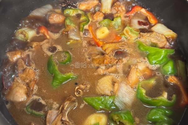 自制临沂炒鸡的做法图解5