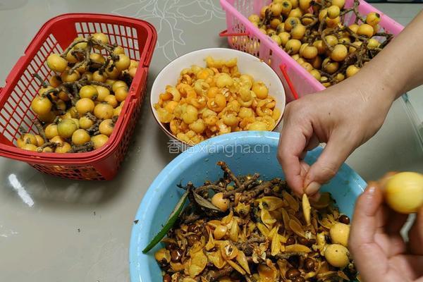 枇杷膏的做法图解1