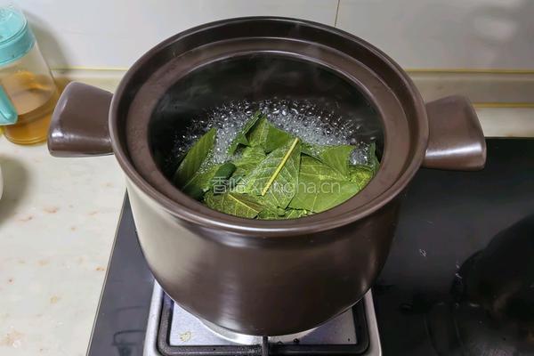 枇杷膏的做法图解4