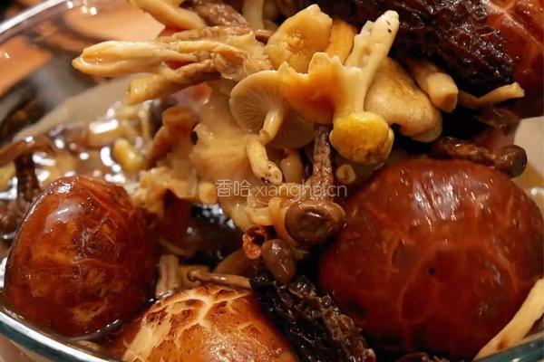 一口入魂！这碗菌汤面，鲜到舌头打颤的做法图解1