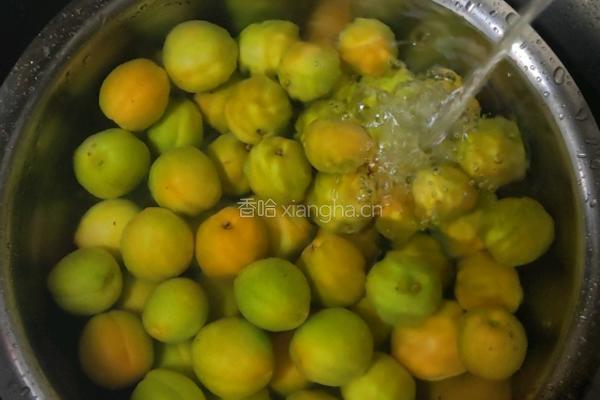 杏干小零食的做法图解2