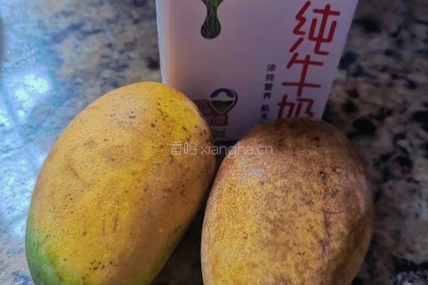 芒果奶昔的做法图解1