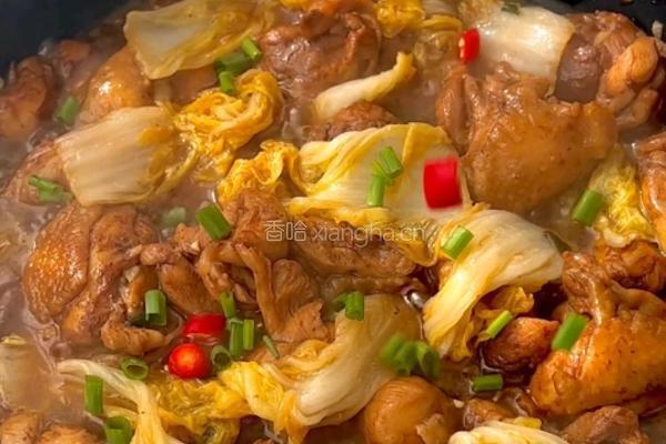 娃娃菜焖鸡的做法图解8