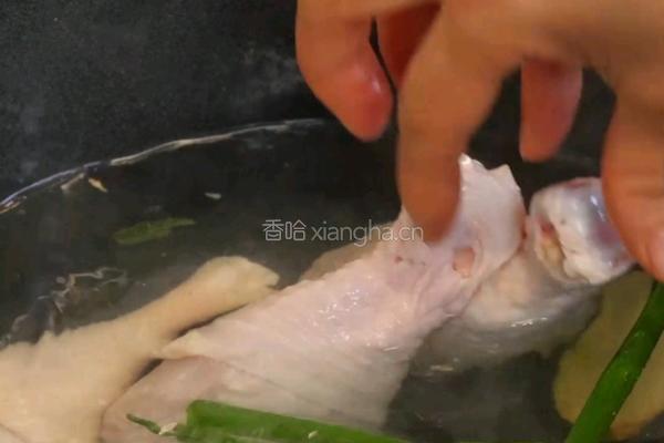 葱油鸡的做法图解2