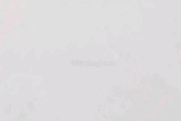 法式脆皮土豆的做法图解7
