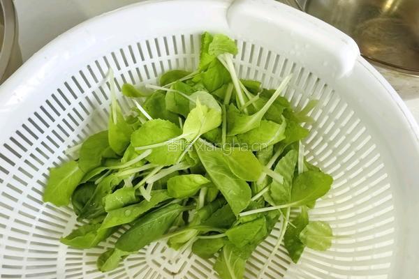 肉丸青菜汤米粉的做法图解3