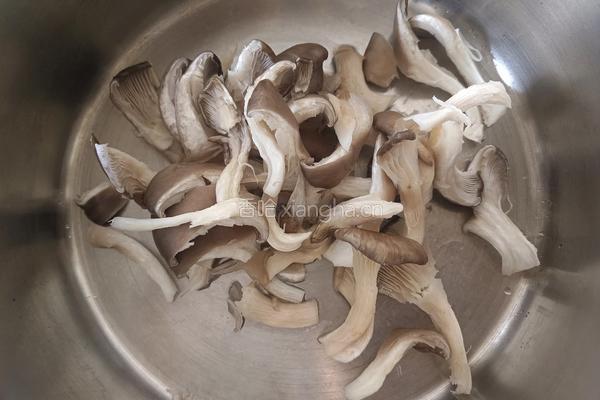 平菇炒白菜的做法图解2