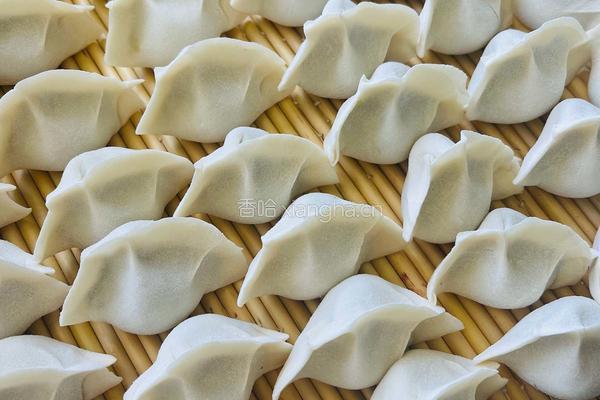 大肉小茴香水饺的做法图解4