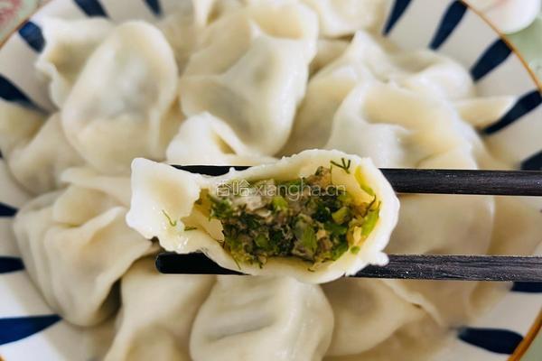 大肉小茴香水饺的做法图解6